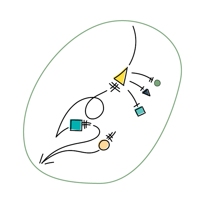 Valeur : l'Évolution